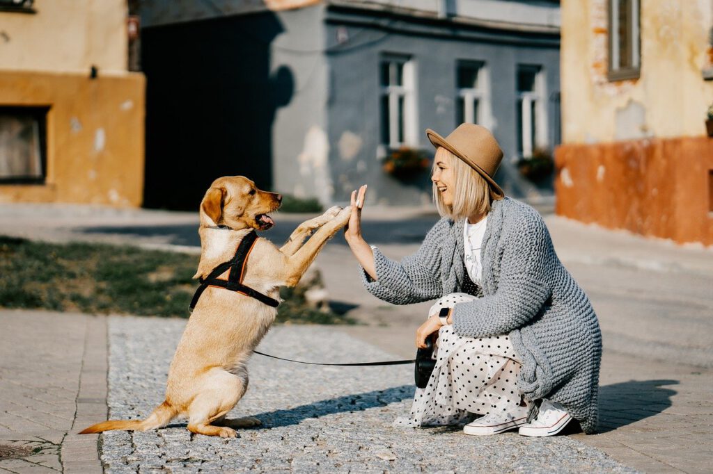 Girl Dog Pet Friendship Companion  - ZigmarsBerzins / Pixabay