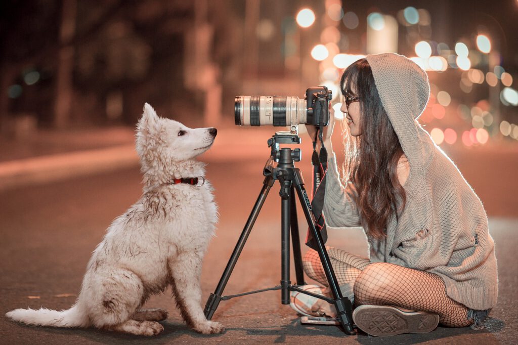 Puppy Dog Pet Night Sch%c%afer Dog  - SarahRichterArt / Pixabay
