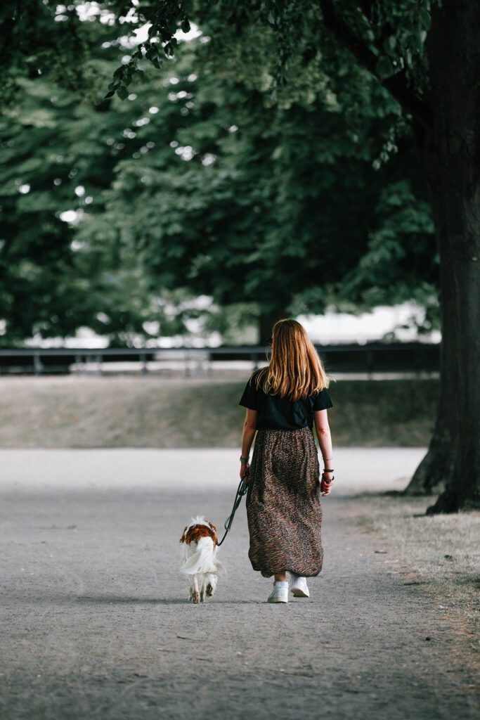 Woman Dog Walk Pooch Dog Leash  - Mammiya / Pixabay